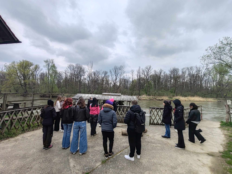 Vpis v gimnazijo Maribor