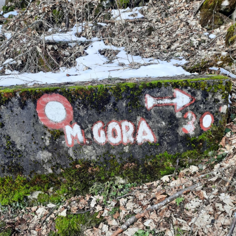 Planinsko društvo Blagajana