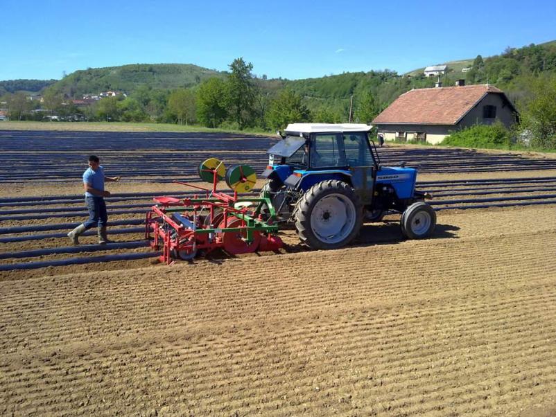 Bela vina Maribor, Štajerska