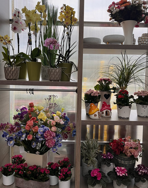 Najboljša vrtnarija Celje