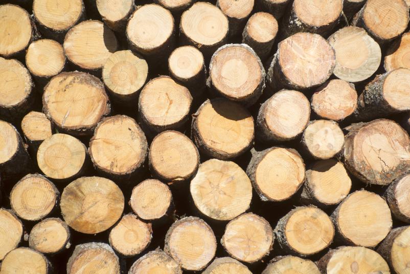 We offer the sale of sawn wood to the Arab world