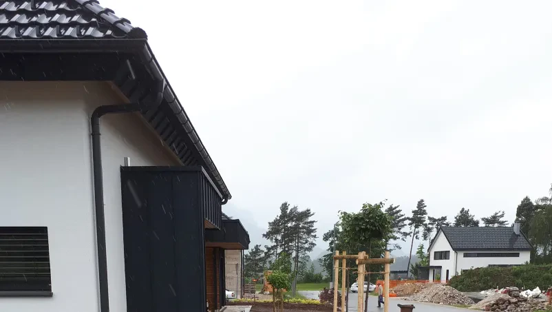 Zasaditev drevja Kranj, Gorenjska