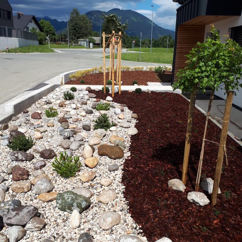 Zasaditev drevja in druge storitve za urejanje okolice Kranj