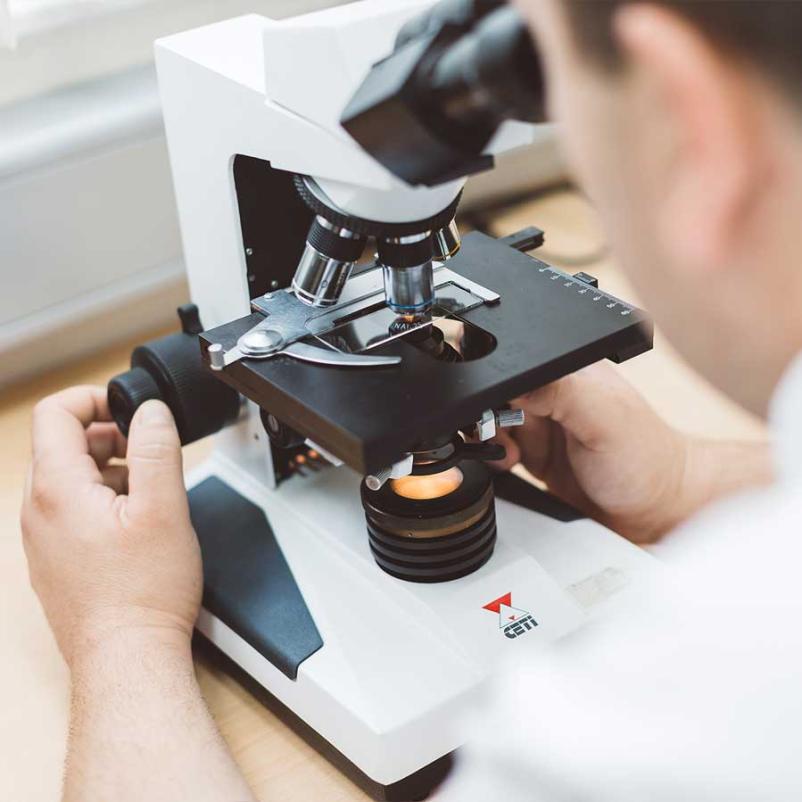 Zasebni zdravnik Slovenska Bistrica