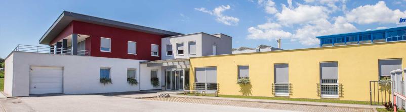 Medicina dela Slovenska Bistrica