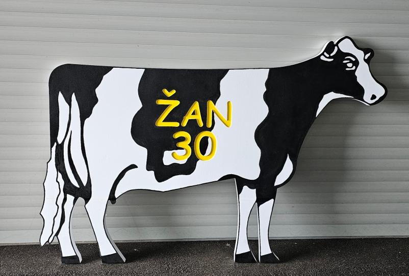 Unikatni dekorativni izdelki iz stiropora Slovenija