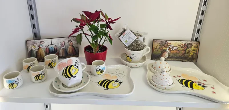 Dober kozmetični salon Lesce Studio Čebelca