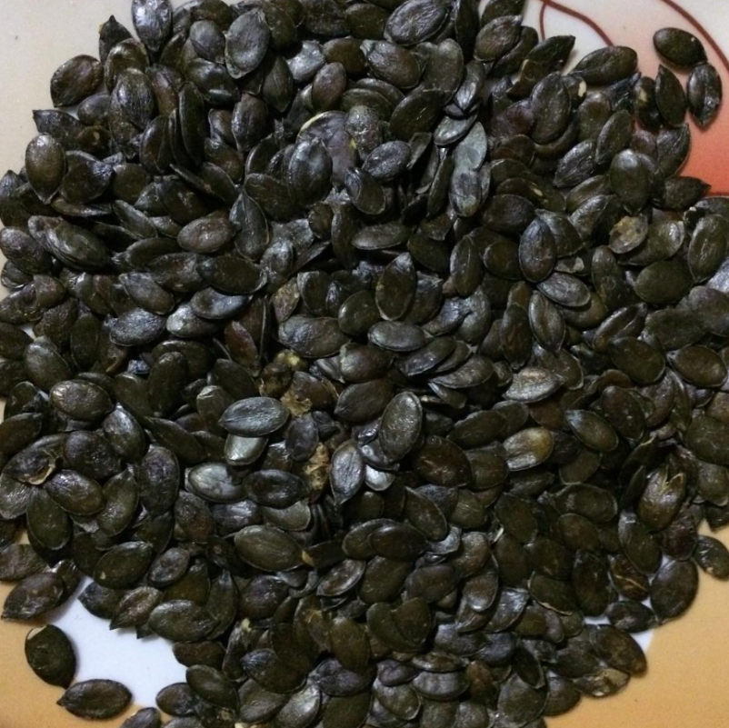 Izberite domače bučno ali sončnično olje v Gornji Radgoni 