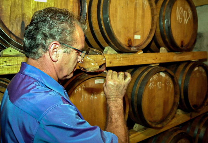 Vrhunska buteljčna vina z Goriške