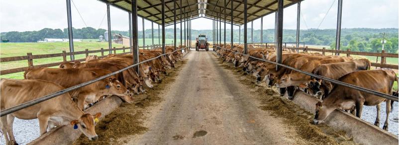 Kvalitetna kmetijska mehanizacija in oprema