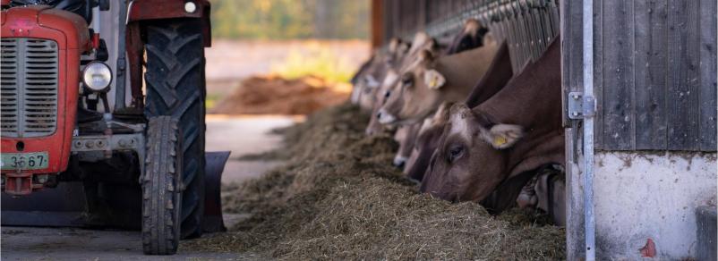 Ugodna kmetijska mehanizacija in oprema Savinjska