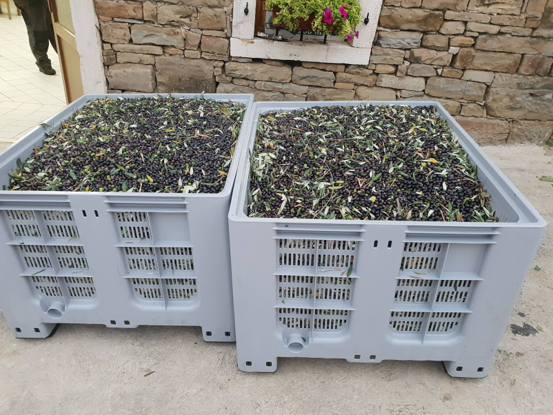 Kvalitetno ekstra deviško oljčno olje