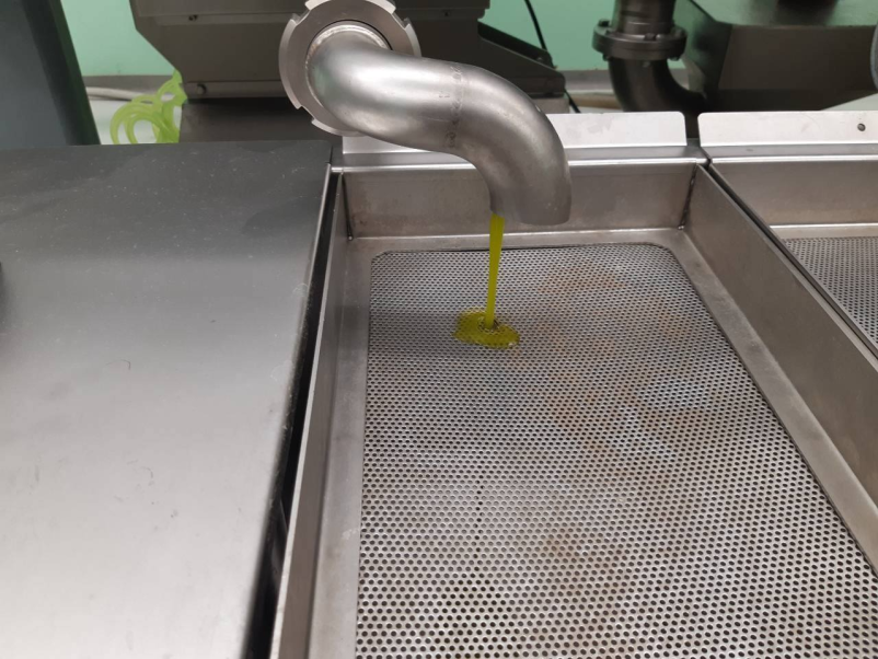 Odlično ekstra deviško oljčno olje Obala