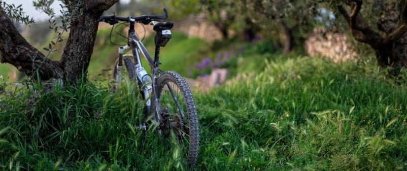 Ugoden najem kolesa Obala