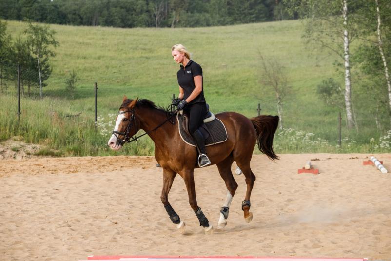 Provide your sport horses with only the best nutrition