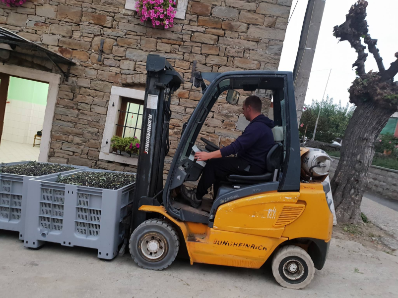 Olio extravergine di oliva