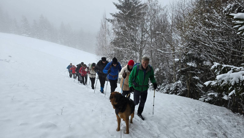 Planinski vodniki Ljubljana