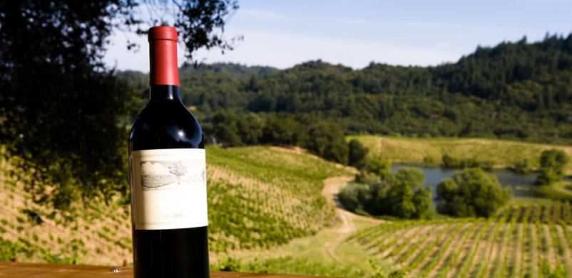 Predstavnik za Yontex in Messen München Slovenija