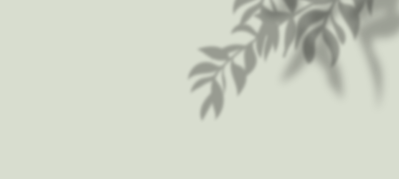 Rehabilitacijsko zdravljenje z matičnimi celicami Slovenija