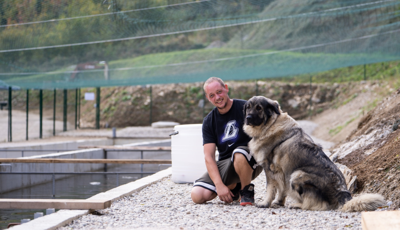 Sveže ribe koroška regija