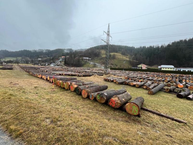 Gozdarska šola Maribor