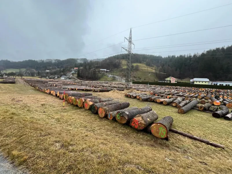 Gozdarska šola Maribor