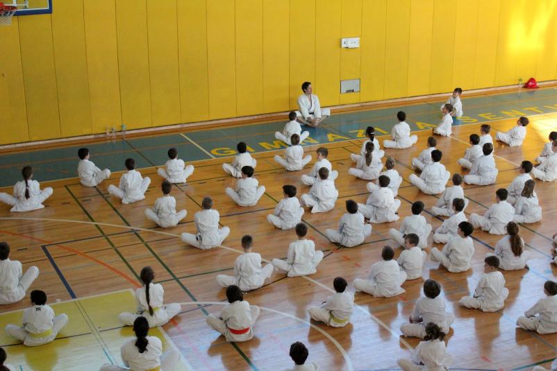 Treningi sankukai karateja Ljubljana, okolica, Osrednja Slovenija