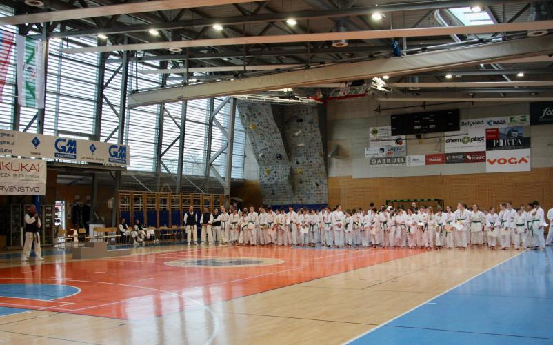 Treningi sankukai karateja Ljubljana, okolica