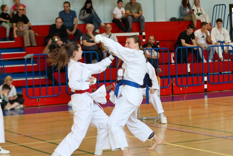 Tečaj sankukai karateja Ljubljana