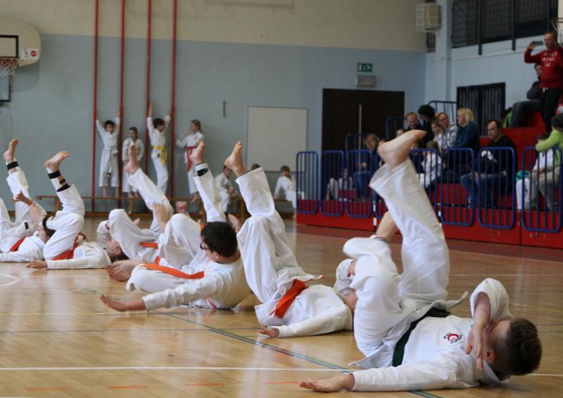 Šola sankukai karateja Ljubljana