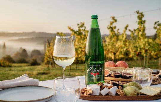 Oglaševanje na TV SRK-11