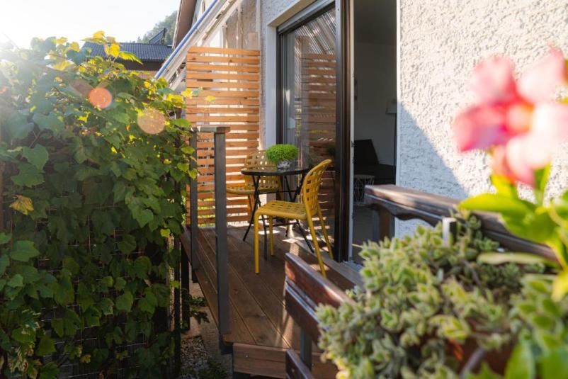 Udobni apartma Bolero