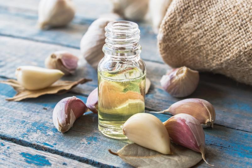 Česnova tinktura Savinjska