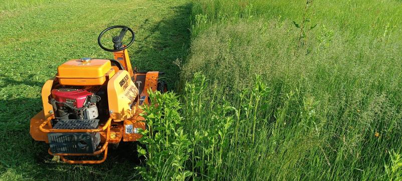 Urejanje okolice in košnja trave na Dolenjskem