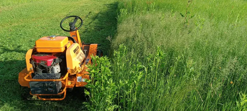 Urejanje okolice in košnja trave na Dolenjskem