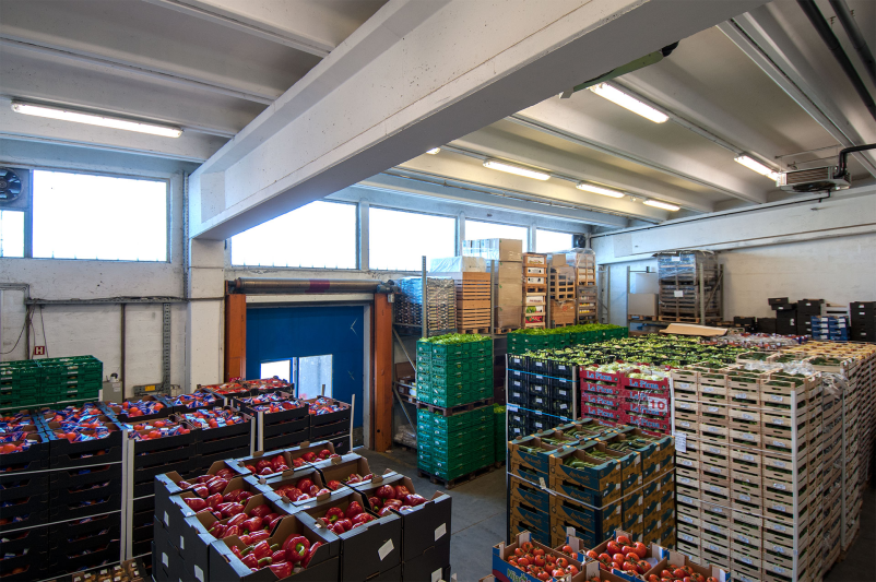 Veleprodaja in maloprodaja sadja Goriška