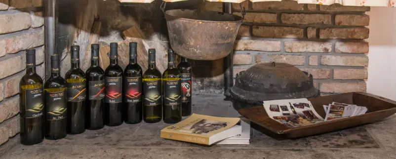 Vina Sosolič