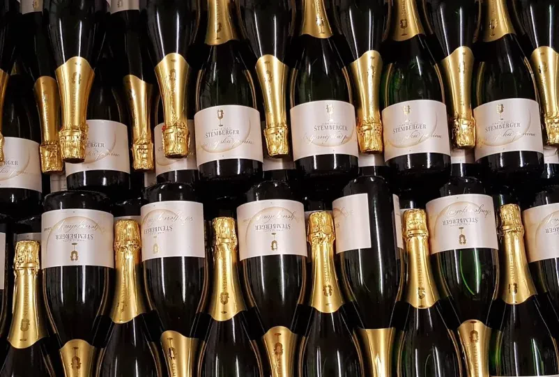 Vrhunska vinska klet in degustacija vin Dolenjska