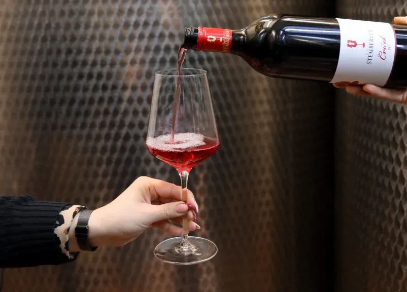 Vinska klet in degustacija vin Dolenjska, Slovenija