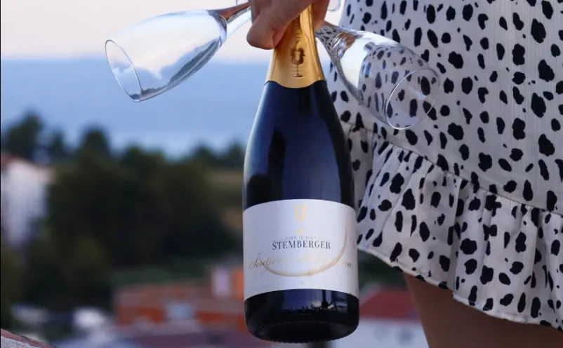 Vinska klet in degustacija vin Dolenjska