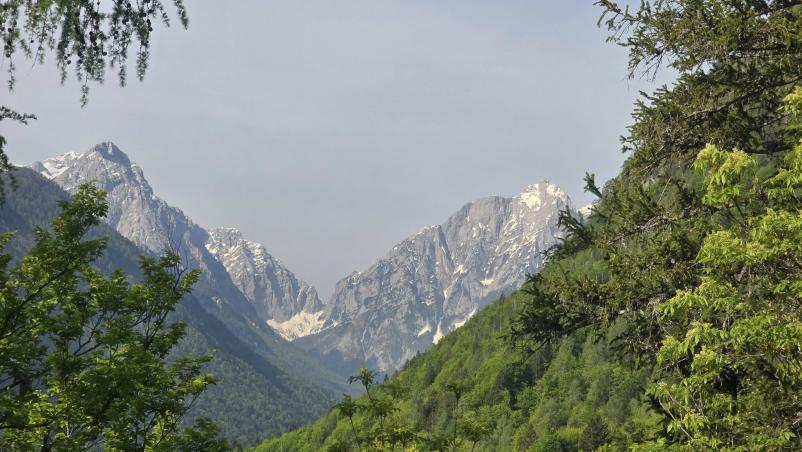 Vpis v Planinsko društvo Ptuj