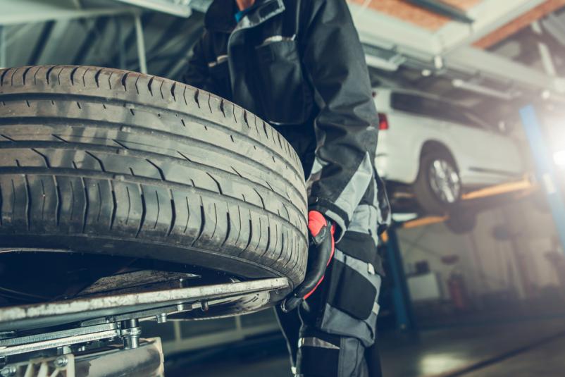 Menjava gum Škofije, Primorska