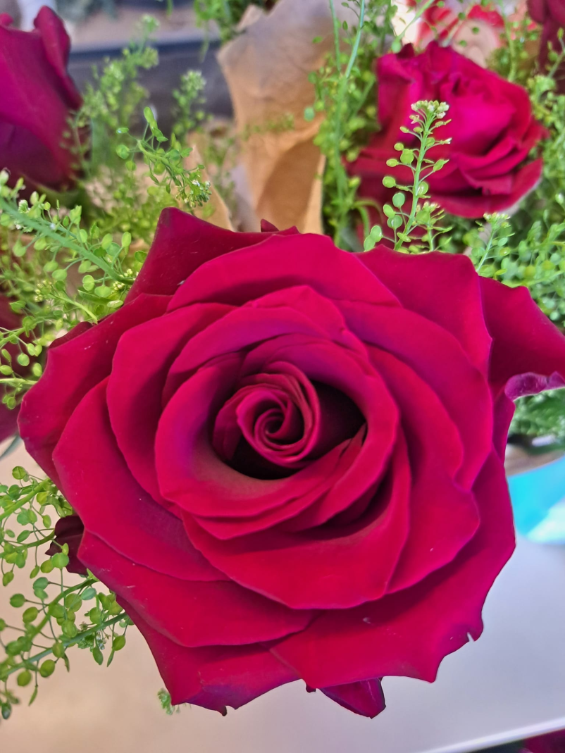 Poceni cvetličarna Šempeter pri Gorici