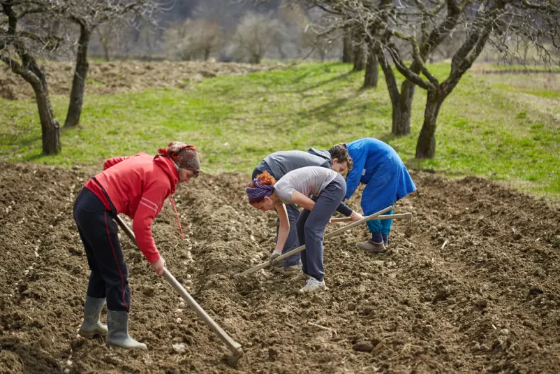 Dela s kmetijsko mehanizacijo in kmetijska dela Kočevska Reka