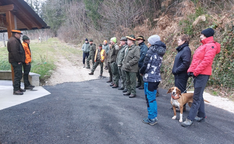 Lov na divjad Savinjska