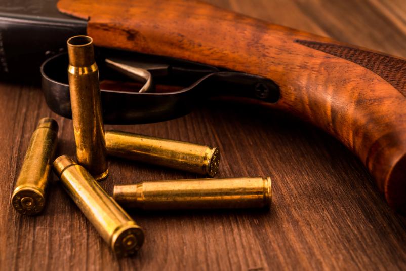 Lovska družina Polskava, Štajerska