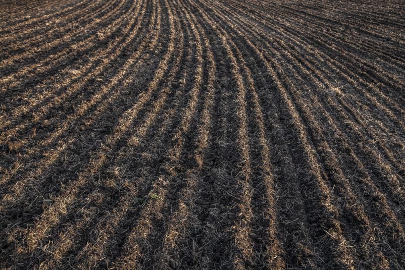 Mulčenje kmetijskih površin