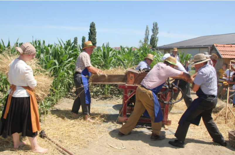Cena za obisk muzeja Sv. Jurij ob Ščavnici