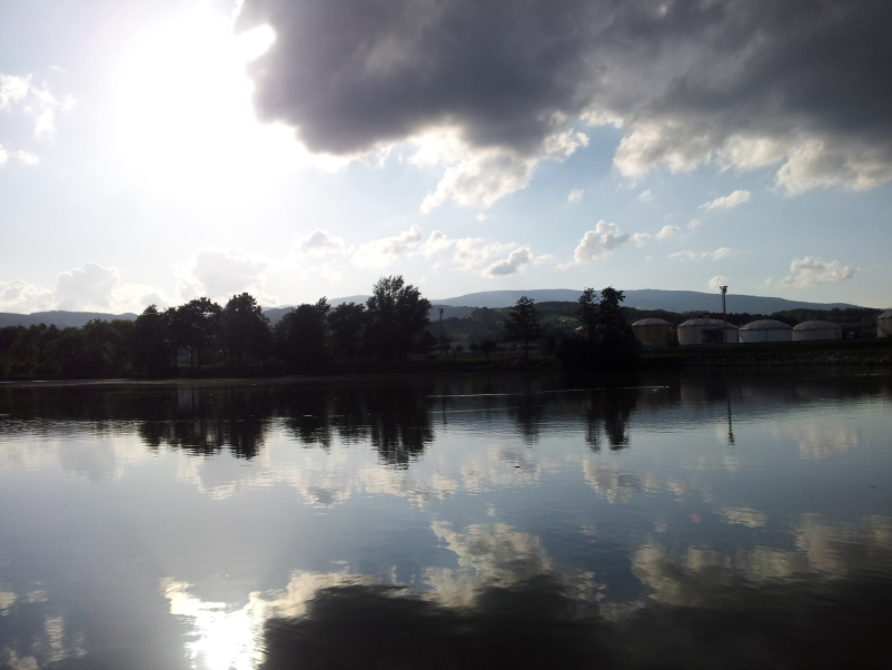 Nakup ribolovnih dovolilnic v Račah