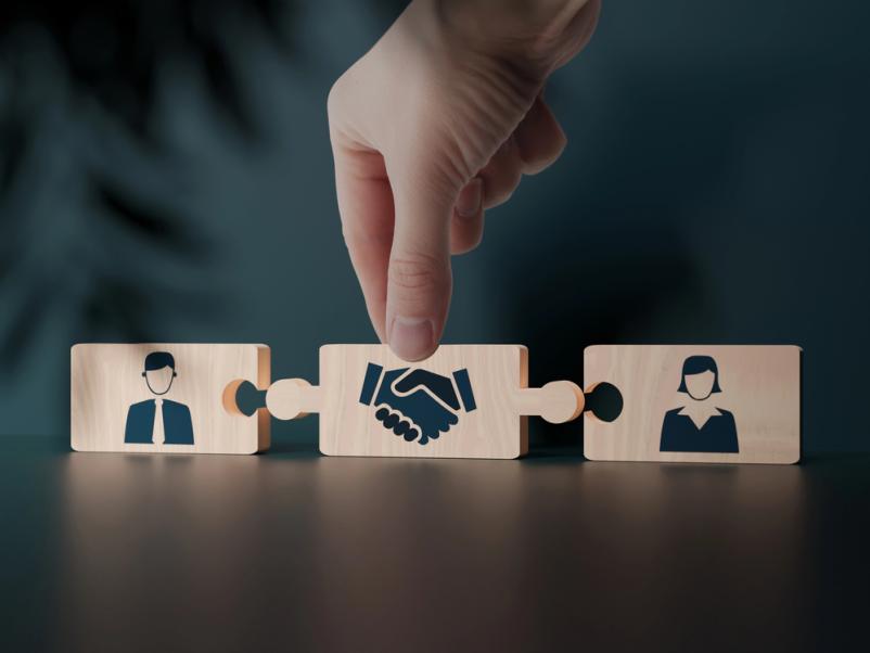 Mediator Ilirska Bistrica